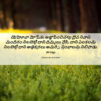 Picture 06 - నిర్గమకాండం 40:18 TELIRV - యెహోవా మోషేకు - Bible Verse Picture
