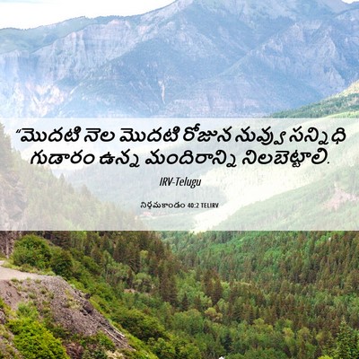 Picture 06 - నిర్గమకాండం 40:2 TELIRV - “మొదటి నెల మొదటి - Bible Verse Picture