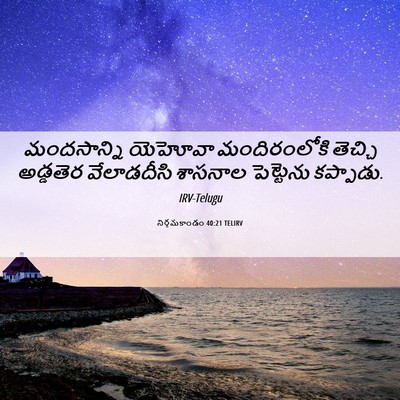 Picture 06 - నిర్గమకాండం 40:21 TELIRV - మందసాన్ని యెహోవా - Bible Verse Picture