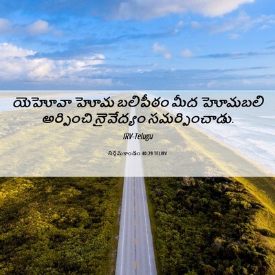 Picture 06 - నిర్గమకాండం 40:29 TELIRV - యెహోవా హోమ - Bible Verse Picture