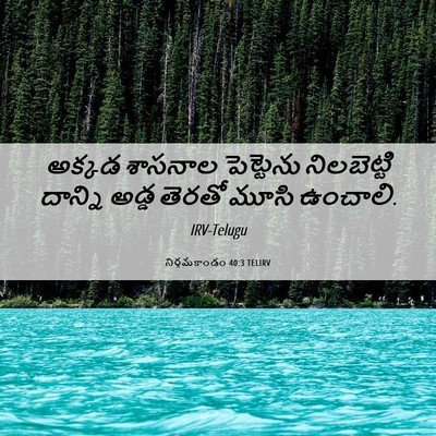 Picture 06 - నిర్గమకాండం 40:3 TELIRV - అక్కడ శాసనాల - Bible Verse Picture