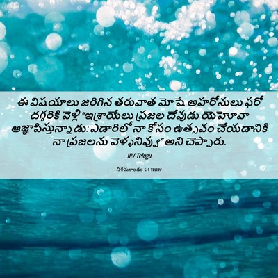 Picture 06 - నిర్గమకాండం 5:1 TELIRV - ఈ విషయాలు జరిగిన - Bible Verse Picture