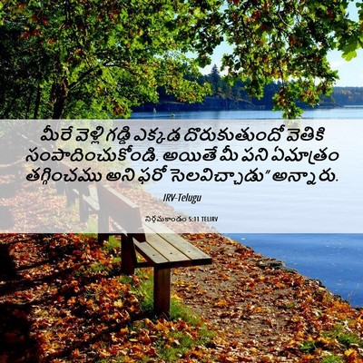 Picture 06 - నిర్గమకాండం 5:11 TELIRV - మీరే వెళ్లి గడ్డి - Bible Verse Picture