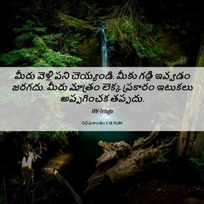 Picture 06 - నిర్గమకాండం 5:18 TELIRV - మీరు వెళ్లి పని - Bible Verse Picture