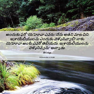Picture 06 - నిర్గమకాండం 5:2 TELIRV - అందుకు ఫరో - Bible Verse Picture