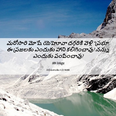 Picture 06 - నిర్గమకాండం 5:22 TELIRV - మరోసారి మోషే - Bible Verse Picture