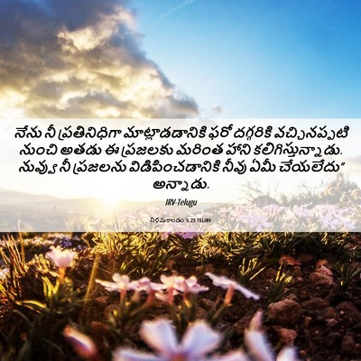 Picture 06 - నిర్గమకాండం 5:23 TELIRV - నేను నీ - Bible Verse Picture