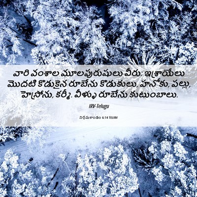 Picture 06 - నిర్గమకాండం 6:14 TELIRV - వారి వంశాల - Bible Verse Picture