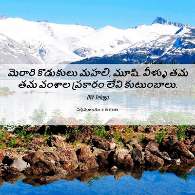 Picture 06 - నిర్గమకాండం 6:19 TELIRV - మెరారి కొడుకులు - Bible Verse Picture