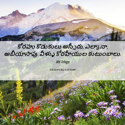 Picture 06 - నిర్గమకాండం 6:24 TELIRV - కోరహు కొడుకులు - Bible Verse Picture