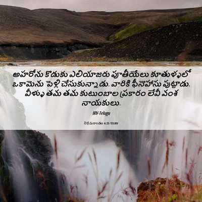Picture 06 - నిర్గమకాండం 6:25 TELIRV - అహరోను కొడుకు - Bible Verse Picture