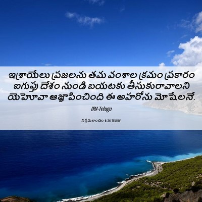 Picture 06 - నిర్గమకాండం 6:26 TELIRV - ఇశ్రాయేలు ప్రజలను - Bible Verse Picture