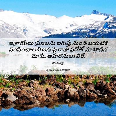 Picture 06 - నిర్గమకాండం 6:27 TELIRV - ఇశ్రాయేలు ప్రజలను - Bible Verse Picture