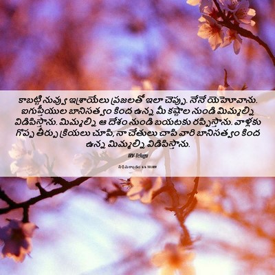 Picture 06 - నిర్గమకాండం 6:6 TELIRV - కాబట్టి నువ్వు - Bible Verse Picture