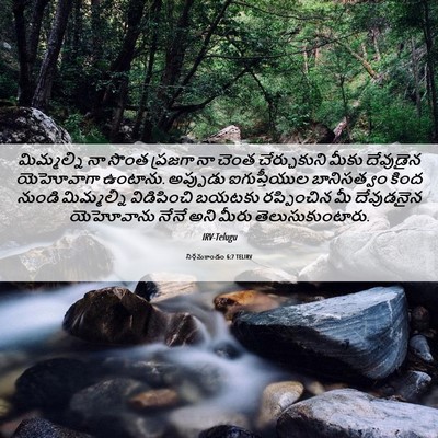 Picture 06 - నిర్గమకాండం 6:7 TELIRV - మిమ్మల్ని నా సొంత - Bible Verse Picture