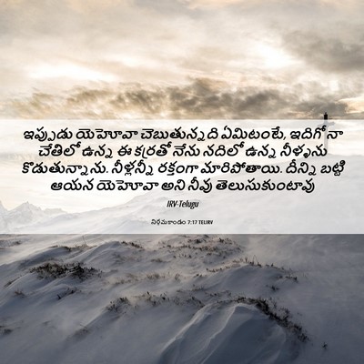 Picture 06 - నిర్గమకాండం 7:17 TELIRV - ఇప్పుడు యెహోవా - Bible Verse Picture