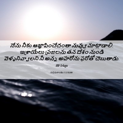 Picture 06 - నిర్గమకాండం 7:2 TELIRV - నేను నీకు - Bible Verse Picture