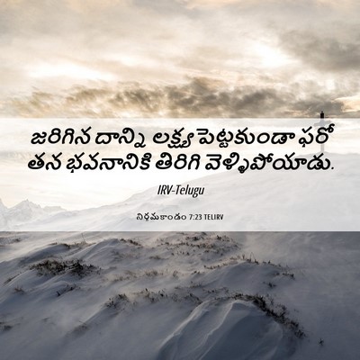 Picture 06 - నిర్గమకాండం 7:23 TELIRV - జరిగిన దాన్ని - Bible Verse Picture