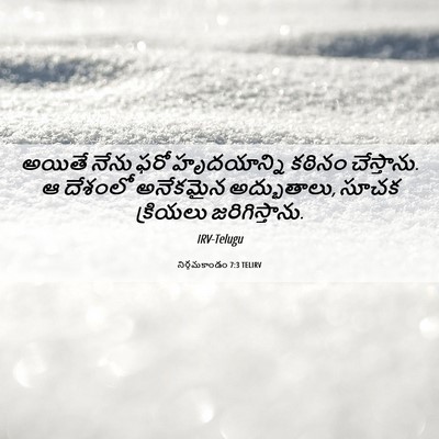 Picture 06 - నిర్గమకాండం 7:3 TELIRV - అయితే నేను ఫరో - Bible Verse Picture