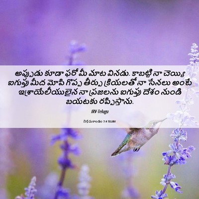 Picture 06 - నిర్గమకాండం 7:4 TELIRV - అప్పుడు కూడా ఫరో - Bible Verse Picture