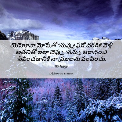 Picture 06 - నిర్గమకాండం 8:1 TELIRV - యెహోవా మోషేతో - Bible Verse Picture