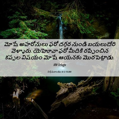 Picture 06 - నిర్గమకాండం 8:12 TELIRV - మోషే అహరోనులు ఫరో - Bible Verse Picture