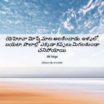 Picture 06 - నిర్గమకాండం 8:13 TELIRV - యెహోవా మోషే మాట - Bible Verse Picture