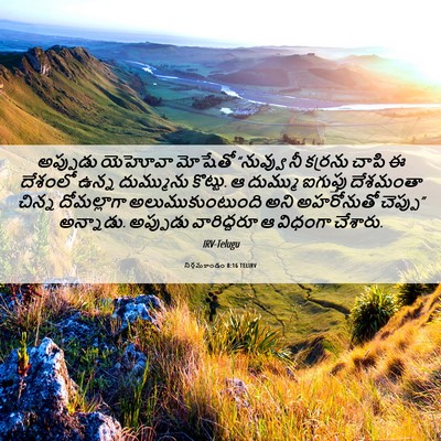 Picture 06 - నిర్గమకాండం 8:16 TELIRV - అప్పుడు యెహోవా - Bible Verse Picture