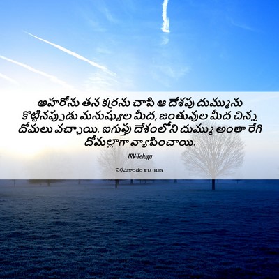 Picture 06 - నిర్గమకాండం 8:17 TELIRV - అహరోను తన కర్రను - Bible Verse Picture