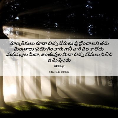 Picture 06 - నిర్గమకాండం 8:18 TELIRV - మాంత్రికులు కూడా - Bible Verse Picture