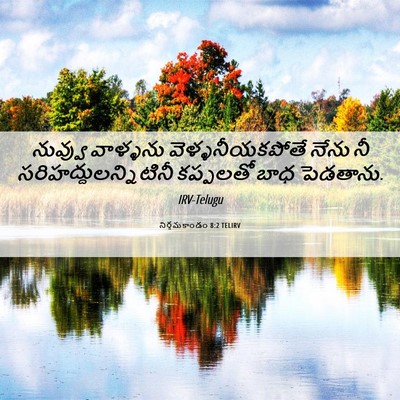 Picture 06 - నిర్గమకాండం 8:2 TELIRV - నువ్వు వాళ్ళను - Bible Verse Picture