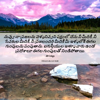 Picture 06 - నిర్గమకాండం 8:21 TELIRV - నువ్వు నా ప్రజలను - Bible Verse Picture