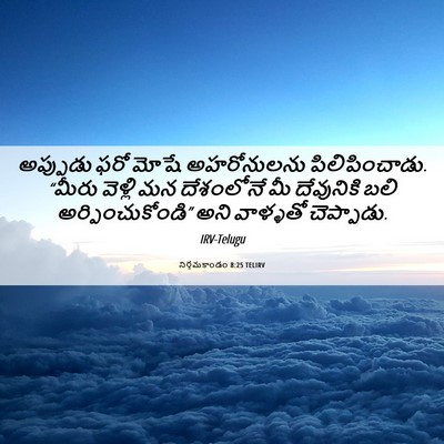 Picture 06 - నిర్గమకాండం 8:25 TELIRV - అప్పుడు ఫరో మోషే - Bible Verse Picture