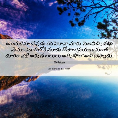 Picture 06 - నిర్గమకాండం 8:27 TELIRV - అందుకేమా దేవుడు - Bible Verse Picture