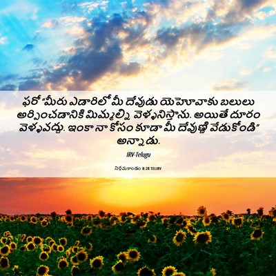 Picture 06 - నిర్గమకాండం 8:28 TELIRV - ఫరో “మీరు ఎడారిలో - Bible Verse Picture