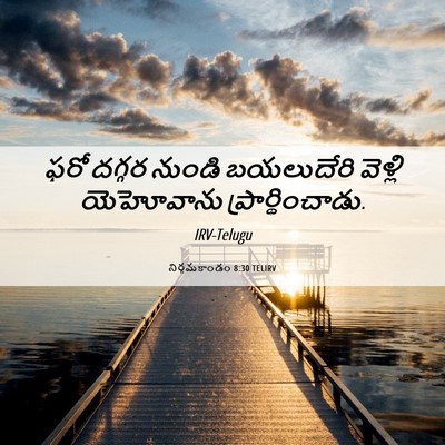 Picture 06 - నిర్గమకాండం 8:30 TELIRV - ఫరో దగ్గర నుండి - Bible Verse Picture