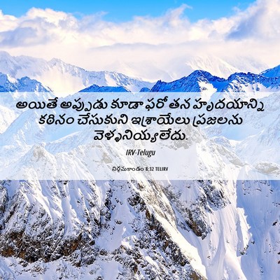 Picture 06 - నిర్గమకాండం 8:32 TELIRV - అయితే అప్పుడు - Bible Verse Picture