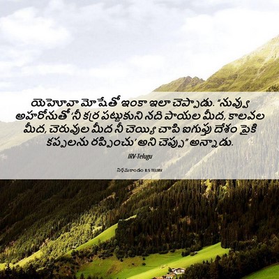 Picture 06 - నిర్గమకాండం 8:5 TELIRV - యెహోవా మోషేతో - Bible Verse Picture