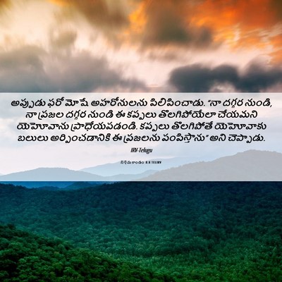 Picture 06 - నిర్గమకాండం 8:8 TELIRV - అప్పుడు ఫరో మోషే - Bible Verse Picture