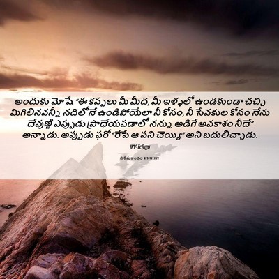 Picture 06 - నిర్గమకాండం 8:9 TELIRV - అందుకు మోషే “ఈ - Bible Verse Picture