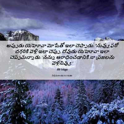 Picture 06 - నిర్గమకాండం 9:1 TELIRV - అప్పుడు యెహోవా - Bible Verse Picture
