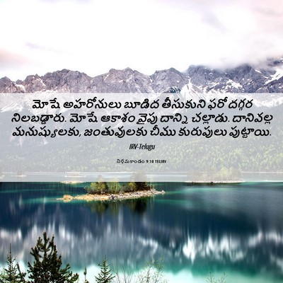 Picture 06 - నిర్గమకాండం 9:10 TELIRV - మోషే అహరోనులు - Bible Verse Picture