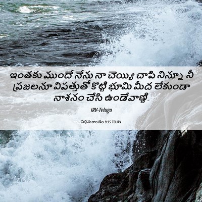 Picture 06 - నిర్గమకాండం 9:15 TELIRV - ఇంతకు ముందే నేను - Bible Verse Picture