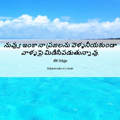 Picture 06 - నిర్గమకాండం 9:17 TELIRV - నువ్వు ఇంకా నా - Bible Verse Picture