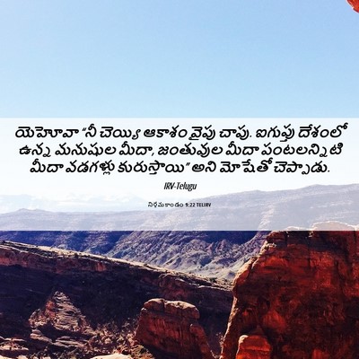 Picture 06 - నిర్గమకాండం 9:22 TELIRV - యెహోవా “నీ చెయ్యి - Bible Verse Picture