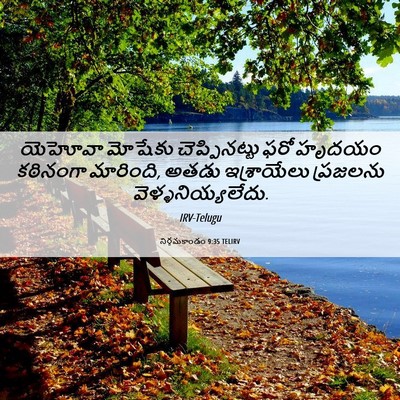 Picture 06 - నిర్గమకాండం 9:35 TELIRV - యెహోవా మోషేకు - Bible Verse Picture