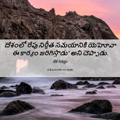 Picture 06 - నిర్గమకాండం 9:5 TELIRV - దేశంలో రేపు - Bible Verse Picture