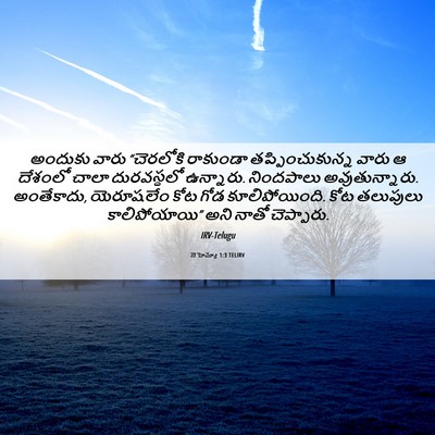 Picture 06 - నెహెమ్యా 1:3 TELIRV - అందుకు వారు - Bible Verse Picture