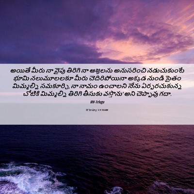 Picture 06 - నెహెమ్యా 1:9 TELIRV - అయితే మీరు నా వైపు - Bible Verse Picture