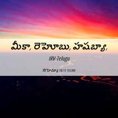 Picture 06 - నెహెమ్యా 10:11 TELIRV - మీకా, రెహోబు, - Bible Verse Picture